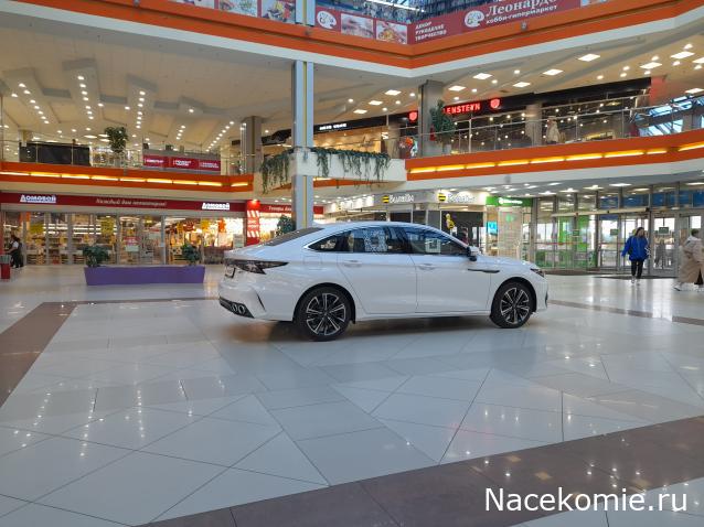 Автолегенды вживую