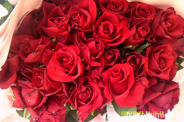 Eva1949 - Дом мечты-души моей воспоминания; 1Abrikoska - Мой гостеприимный дом