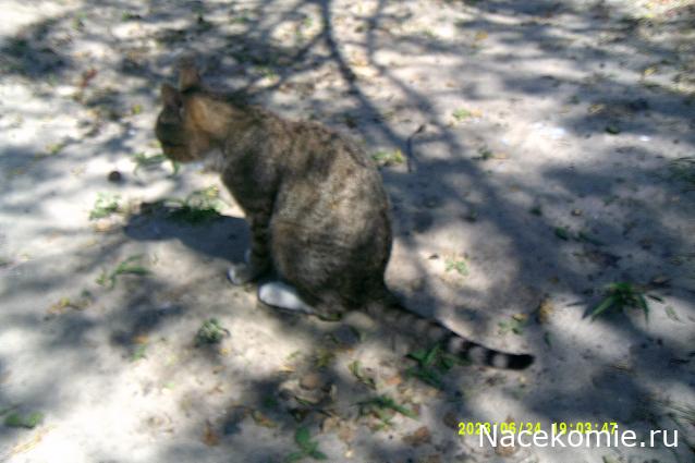 Eva1949 - Дом мечты-души моей воспоминания; 1Abrikoska - Мой гостеприимный дом