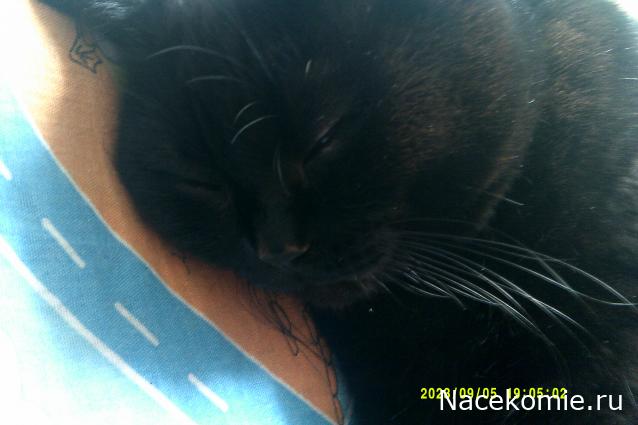 Eva1949 - Дом мечты-души моей воспоминания; 1Abrikoska - Мой гостеприимный дом