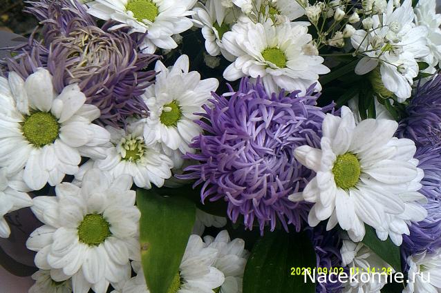 Eva1949 - Дом мечты-души моей воспоминания; 1Abrikoska - Мой гостеприимный дом