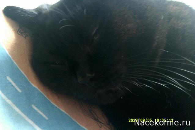 Eva1949 - Дом мечты-души моей воспоминания; 1Abrikoska - Мой гостеприимный дом