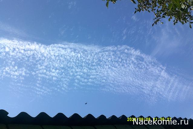 Eva1949 - Дом мечты-души моей воспоминания; 1Abrikoska - Мой гостеприимный дом