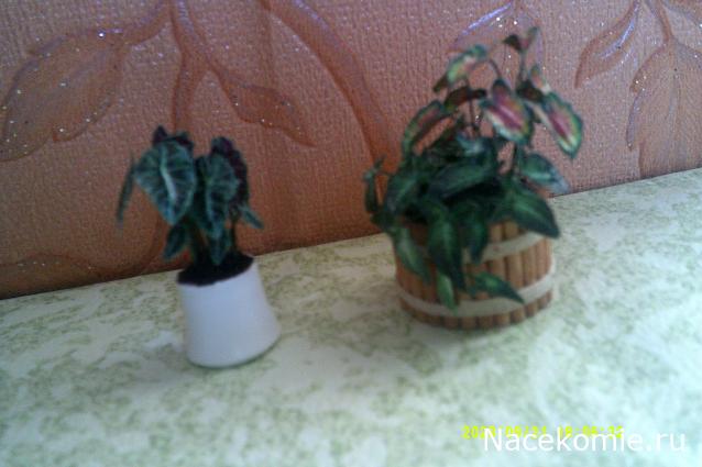 Eva1949 - Дом мечты-души моей воспоминания; 1Abrikoska - Мой гостеприимный дом