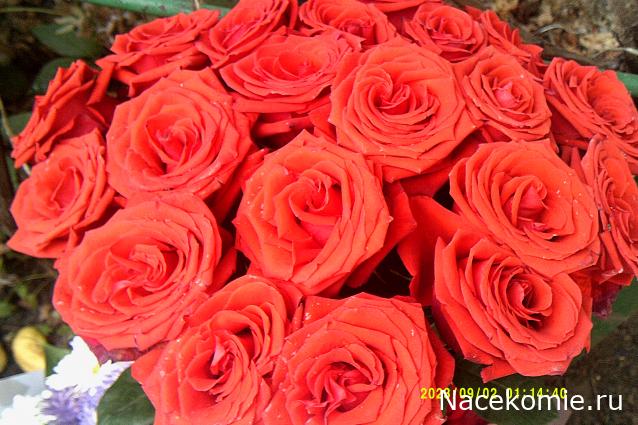 Eva1949 - Дом мечты-души моей воспоминания; 1Abrikoska - Мой гостеприимный дом