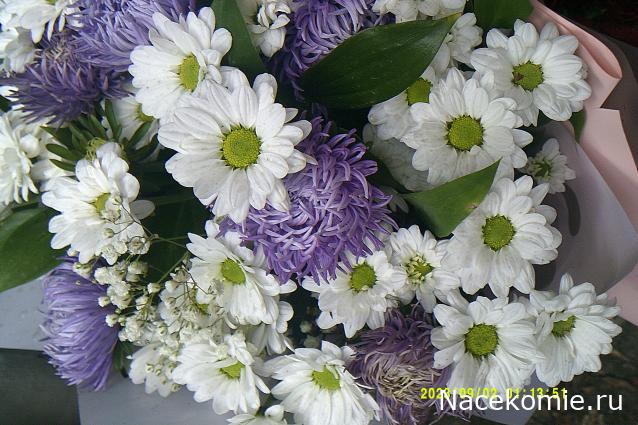 Праздник каждый день - поздравлялка Авторазделов