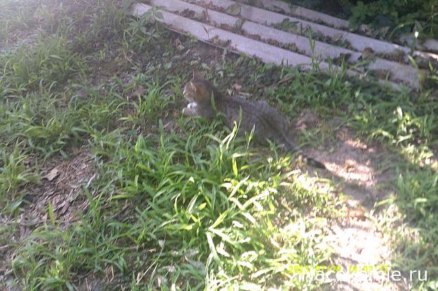 Eva1949 - Дом мечты-души моей воспоминания; 1Abrikoska - Мой гостеприимный дом