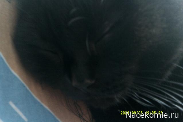 Eva1949 - Дом мечты-души моей воспоминания; 1Abrikoska - Мой гостеприимный дом