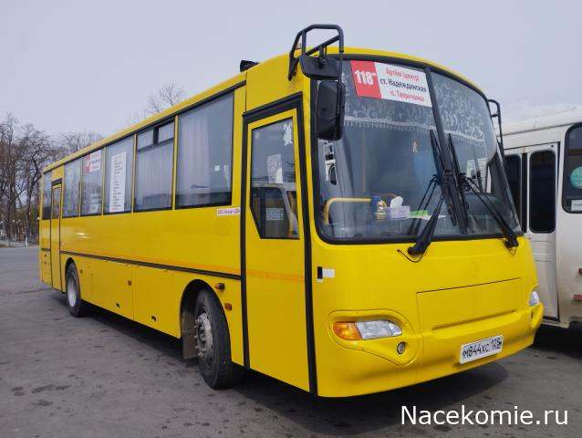 Автолегенды вживую