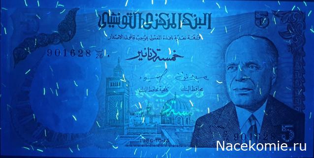 Коллекция alexenamel