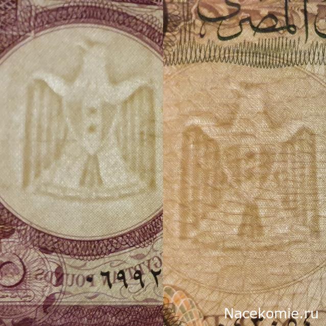 Коллекция alexenamel