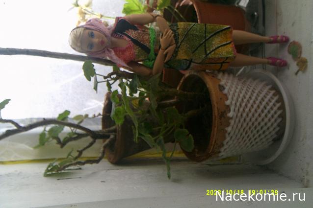 Eva1949 - Дом мечты-души моей воспоминания; 1Abrikoska - Мой гостеприимный дом