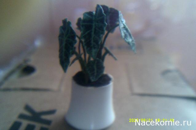 Eva1949 - Дом мечты-души моей воспоминания; 1Abrikoska - Мой гостеприимный дом