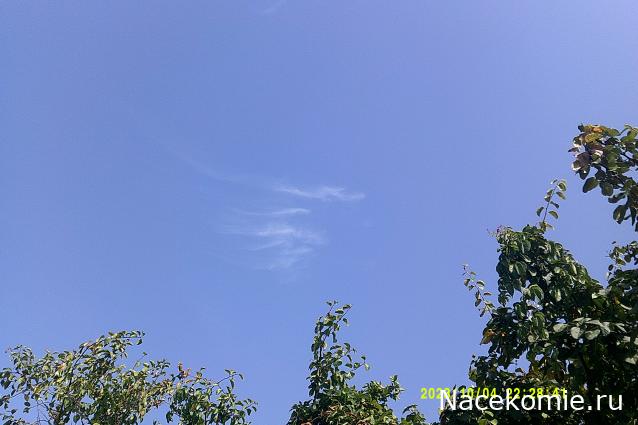 Eva1949 - Дом мечты-души моей воспоминания; 1Abrikoska - Мой гостеприимный дом