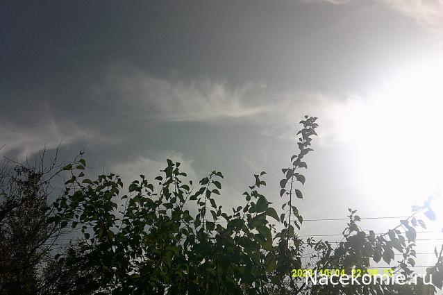 Eva1949 - Дом мечты-души моей воспоминания; 1Abrikoska - Мой гостеприимный дом