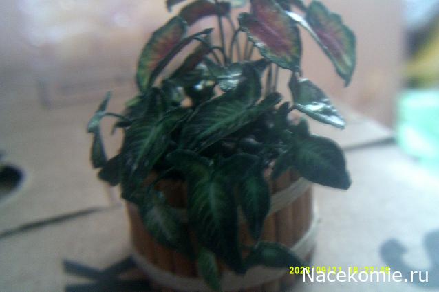 Eva1949 - Дом мечты-души моей воспоминания; 1Abrikoska - Мой гостеприимный дом