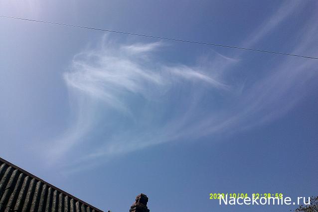 Eva1949 - Дом мечты-души моей воспоминания; 1Abrikoska - Мой гостеприимный дом