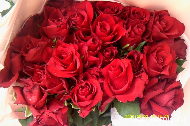 Eva1949 - Дом мечты-души моей воспоминания; 1Abrikoska - Мой гостеприимный дом