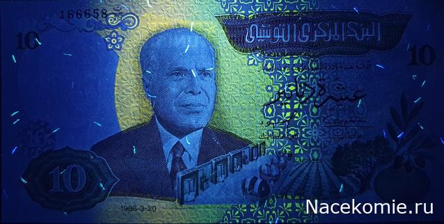 Коллекция alexenamel