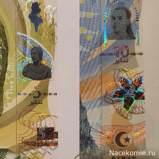 Коллекция alexenamel