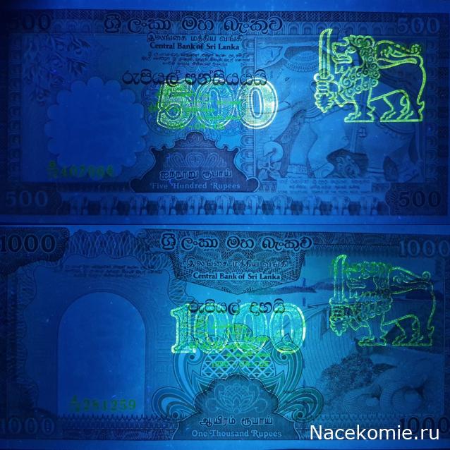 Коллекция alexenamel