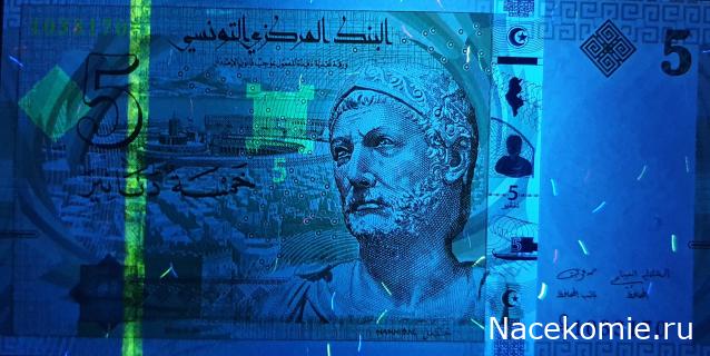 Коллекция alexenamel