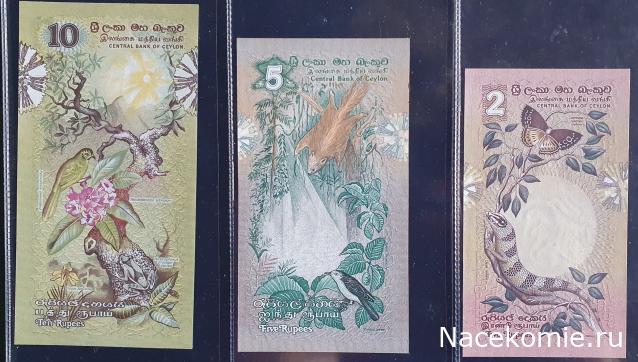 Коллекция alexenamel