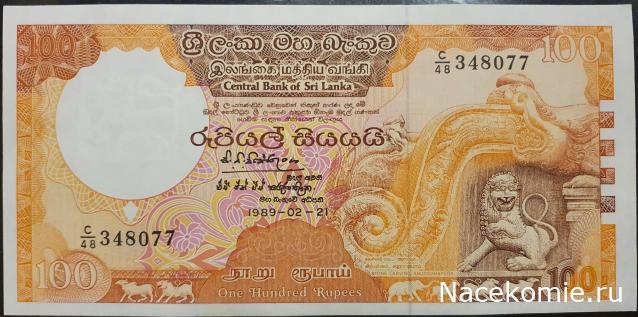 Коллекция alexenamel