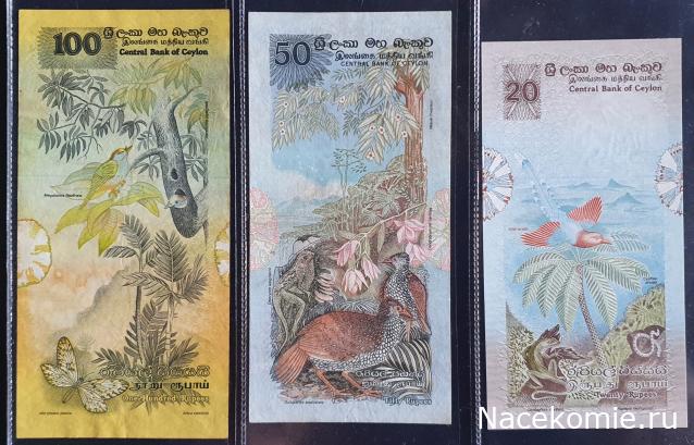 Коллекция alexenamel