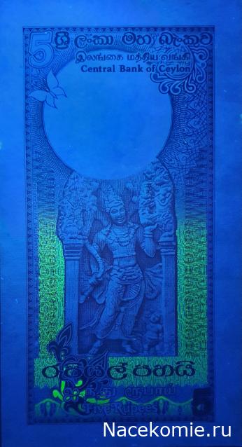 Коллекция alexenamel