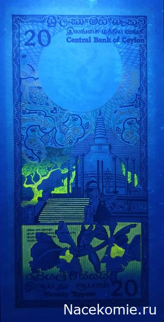 Коллекция alexenamel