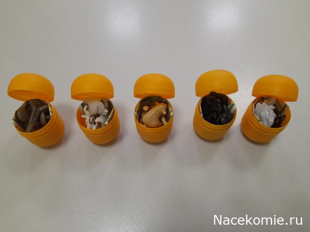 Кулинарный отдел