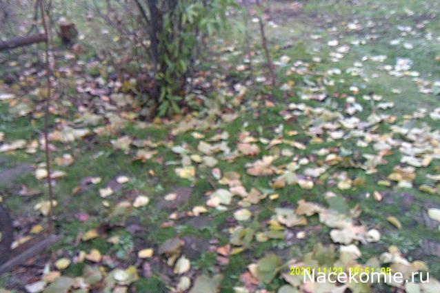 Eva1949 - Дом мечты-души моей воспоминания; 1Abrikoska - Мой гостеприимный дом