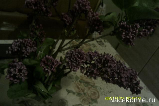 Eva1949 - Дом мечты-души моей воспоминания; 1Abrikoska - Мой гостеприимный дом