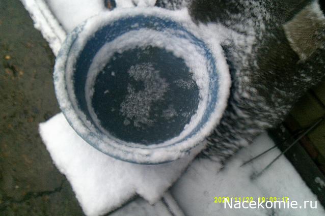 Eva1949 - Дом мечты-души моей воспоминания; 1Abrikoska - Мой гостеприимный дом