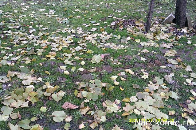 Eva1949 - Дом мечты-души моей воспоминания; 1Abrikoska - Мой гостеприимный дом