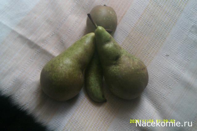 Eva1949 - Дом мечты-души моей воспоминания; 1Abrikoska - Мой гостеприимный дом