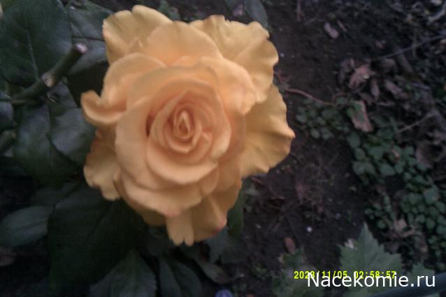 Eva1949 - Дом мечты-души моей воспоминания; 1Abrikoska - Мой гостеприимный дом