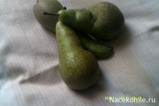 Eva1949 - Дом мечты-души моей воспоминания; 1Abrikoska - Мой гостеприимный дом