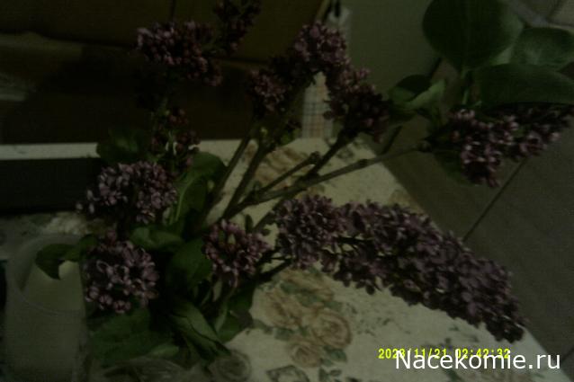 Eva1949 - Дом мечты-души моей воспоминания; 1Abrikoska - Мой гостеприимный дом