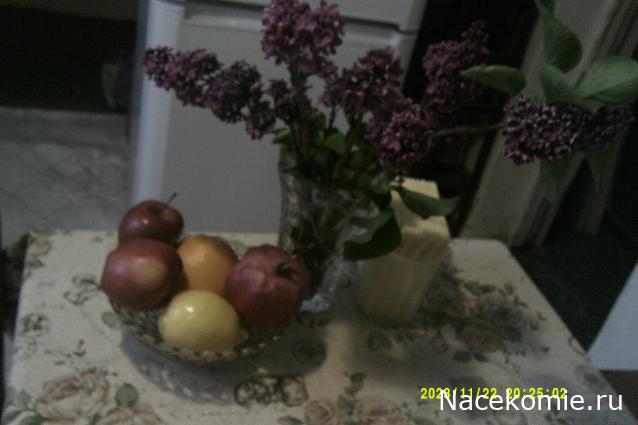 Eva1949 - Дом мечты-души моей воспоминания; 1Abrikoska - Мой гостеприимный дом