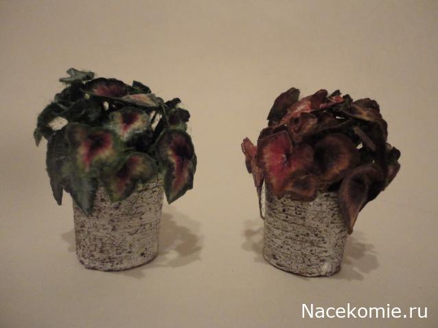 LanaF - Мои домики