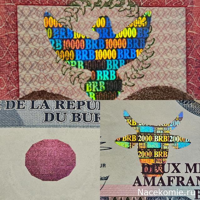 Коллекция alexenamel