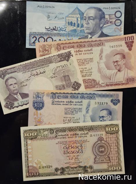 Коллекция alexenamel