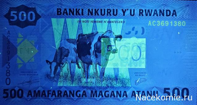 Коллекция alexenamel