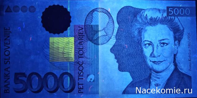 Коллекция alexenamel