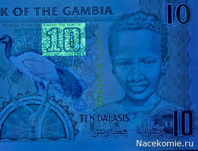 Коллекция alexenamel