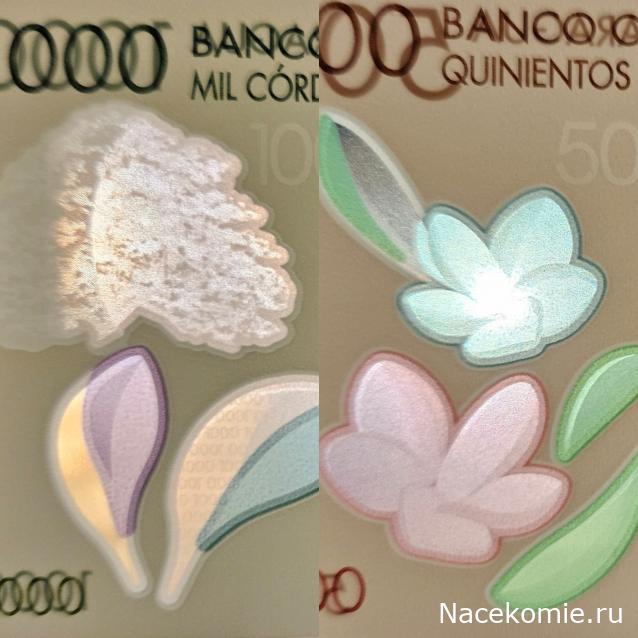 Коллекция alexenamel