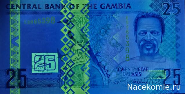 Коллекция alexenamel