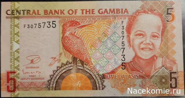 Коллекция alexenamel